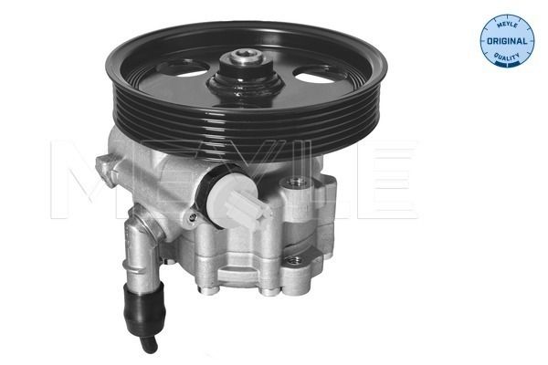 Hydraulikpumpe, Lenkung