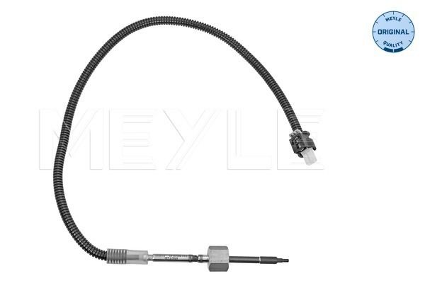Sensor, Abgastemperatur