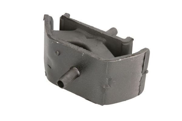 Halter, Motoraufhängung