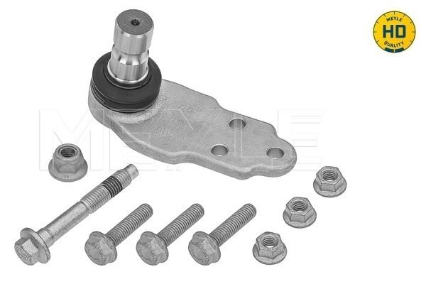 Schwingenbolzen vorne L (vorne) (kegeldurchmesser 24mm) passt zu: FORD MONDEO V 1.0-2.5 09.12-
