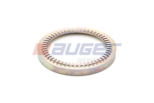 Wellendichtring, Kurbelwelle