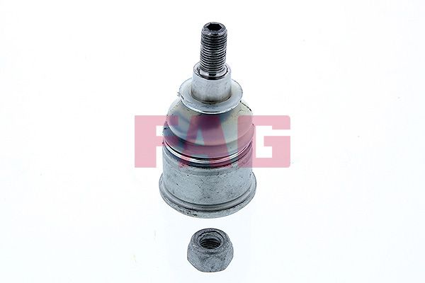 Trag-/Führungsgelenk