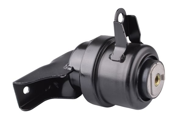 Halter, Motoraufhängung