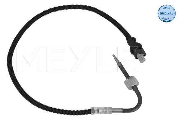 Sensor, Abgastemperatur
