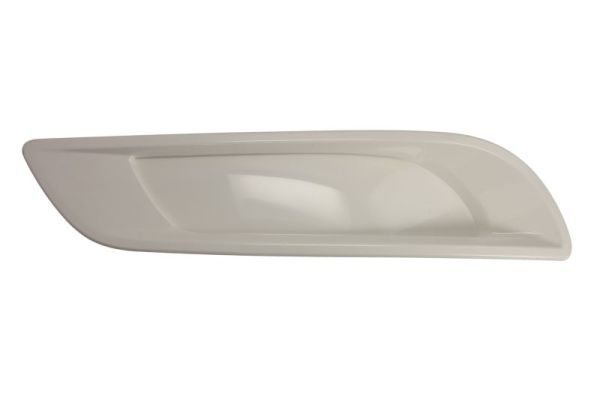 Rahmen der Vornnebelschlussleuchte R passt zu: DAF XF 106 10.12-