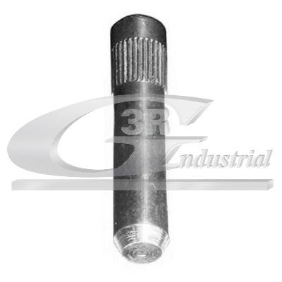 Stange/Strebe, Radaufhängung