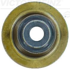 Dichtring, Ventilschaft