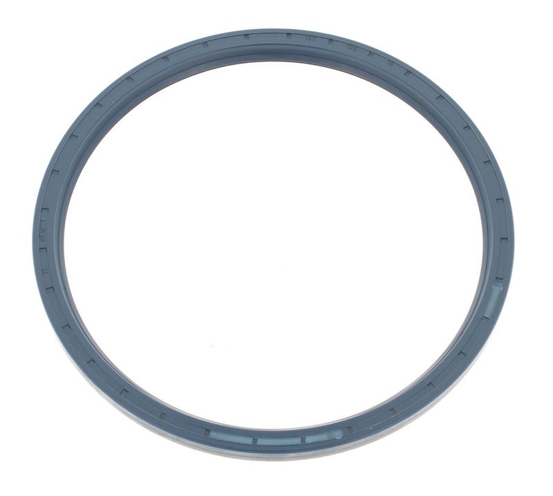 Wellendichtring, Radnabe