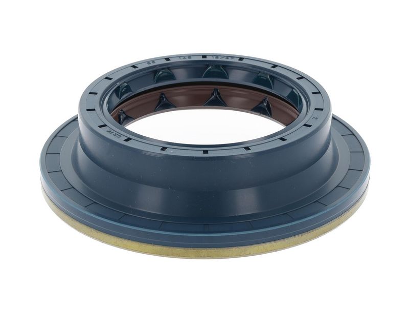 Wellendichtring, Differential