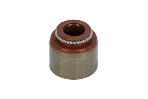 Dichtring, Ventilschaft