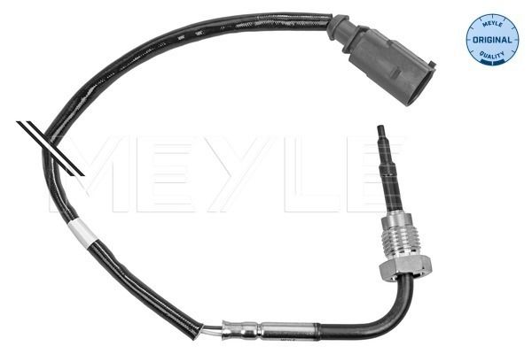 Sensor, Abgastemperatur