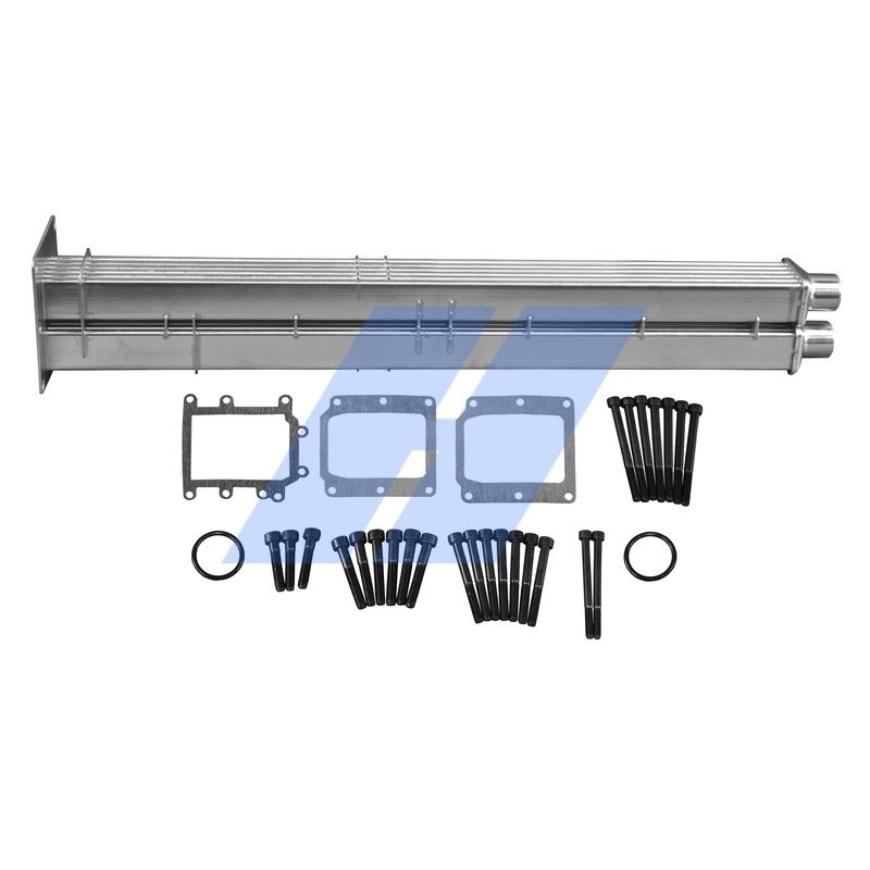 Reparatursatz, AGR-Modul