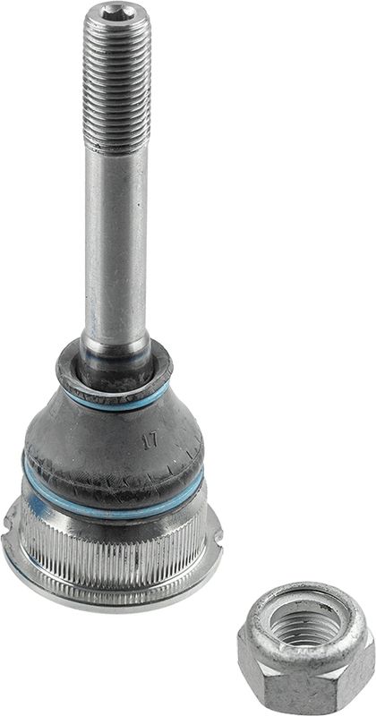 Trag-/Führungsgelenk