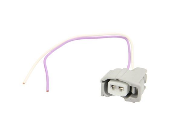 Stecker, Einspritzventil