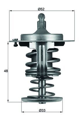 Thermostat, Kühlmittel