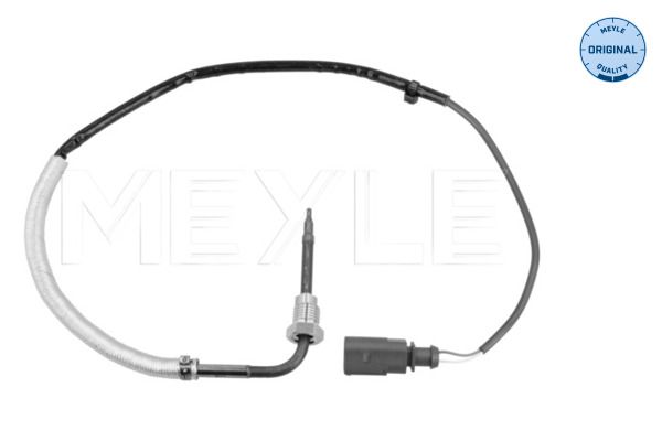 Sensor, Abgastemperatur