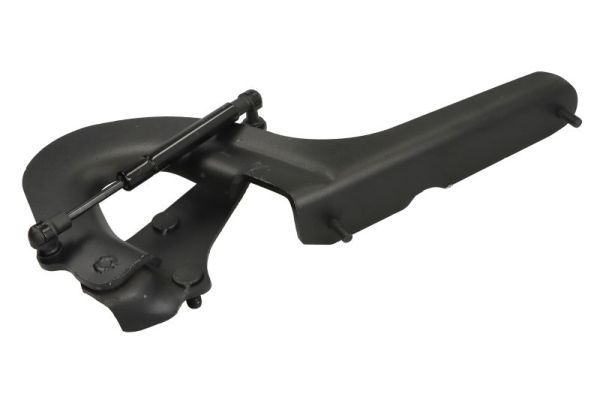 Anbringen des Gitters R passt zu: SCANIA R II 09.16-