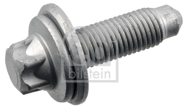 Schraube, Bremssattel