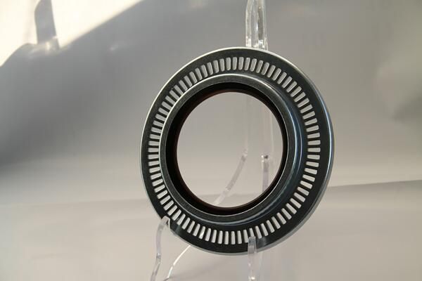 Wellendichtring, Radnabe