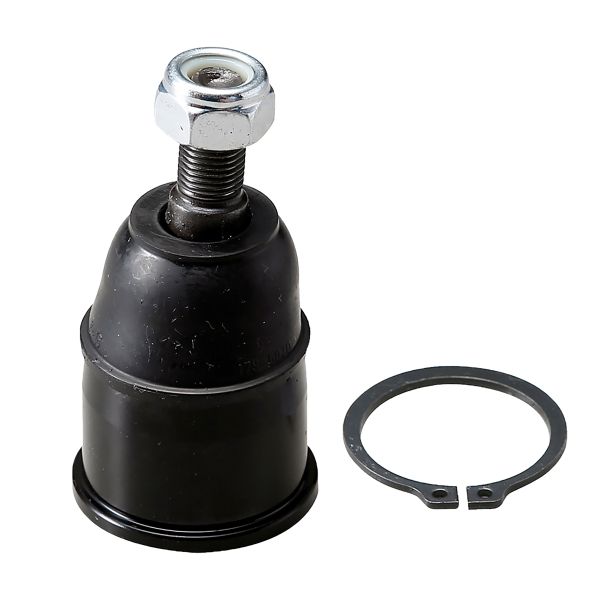 Trag-/Führungsgelenk