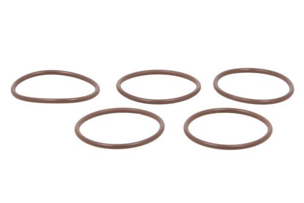 Dichtung, Einspritzpumpe