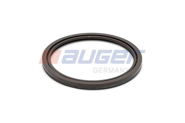 Wellendichtring, Radnabe