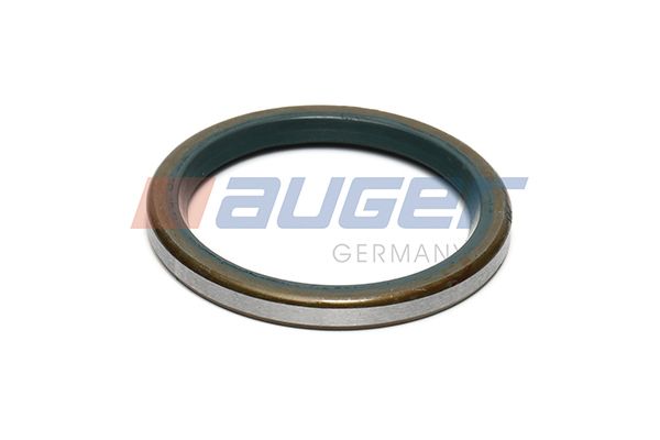 Wellendichtring, Bremsnockenwelle