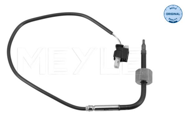 Sensor, Abgastemperatur