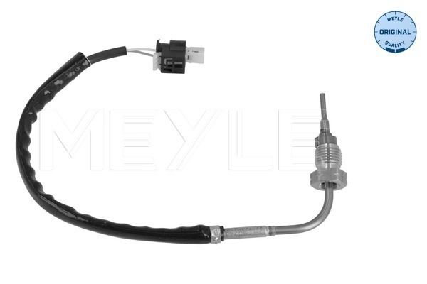 Sensor, Abgastemperatur