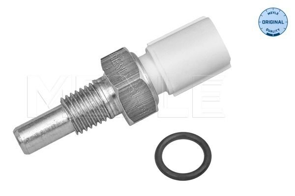 Sensor, Kühlmitteltemperatur