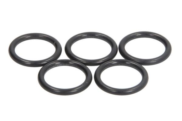 Dichtring, Einspritzventil