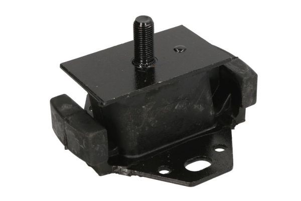 Halter, Motoraufhängung