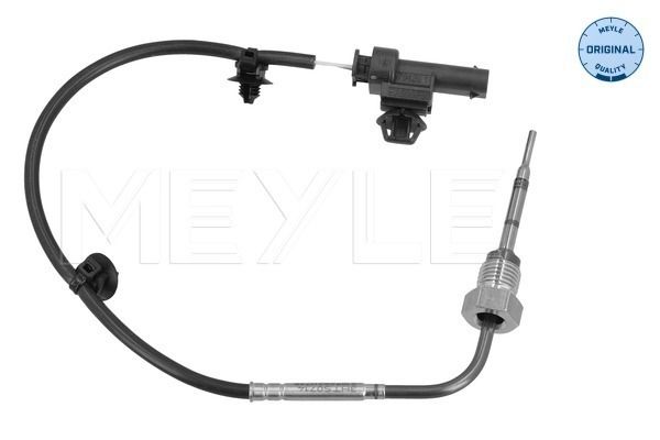 Sensor, Abgastemperatur