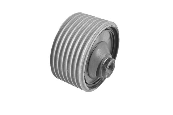 Halter, Motoraufhängung