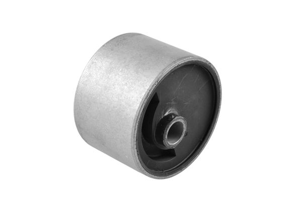 Halter, Motoraufhängung