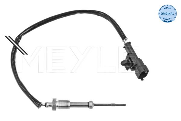 Sensor, Abgastemperatur