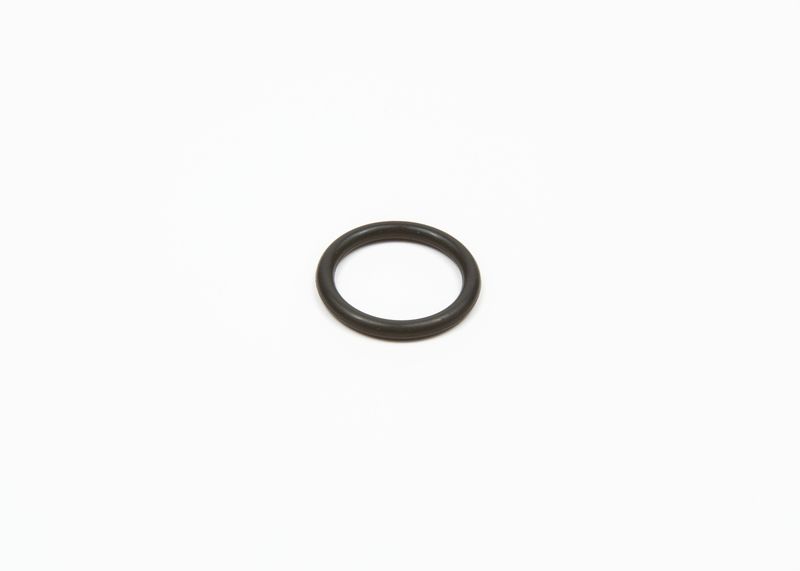 Kraftstoffpumpenelement
