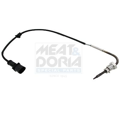 Sensor, Abgastemperatur