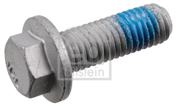 Schraube, Bremssattel