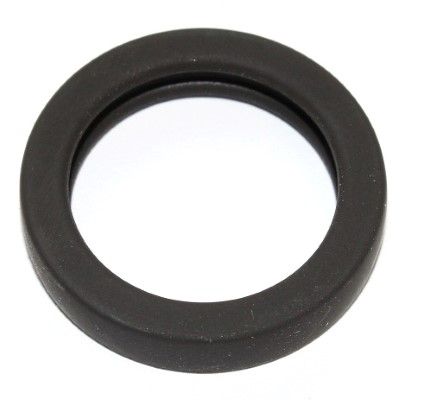 Dichtring