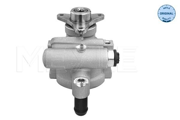 Hydraulikpumpe, Lenkung