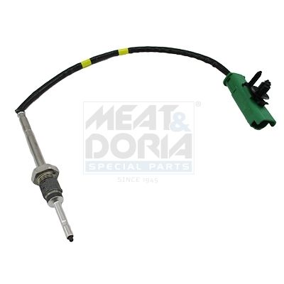Sensor, Abgastemperatur