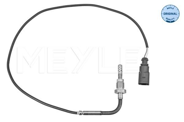 Sensor, Abgastemperatur