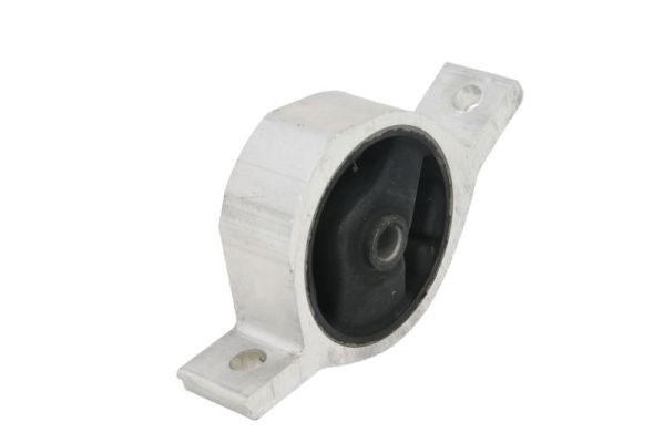 Halter, Motoraufhängung