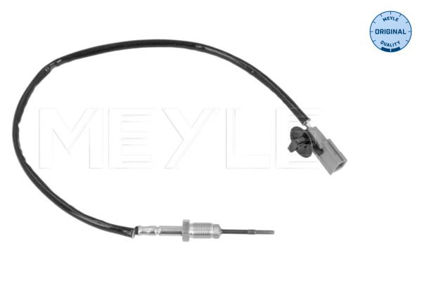 Abgastemperatursensor (vor dem partikelfilter) passt zu: NISSAN NV400, OPEL MOVANO B, RENAULT MASTER III 2.3D 02.10-
