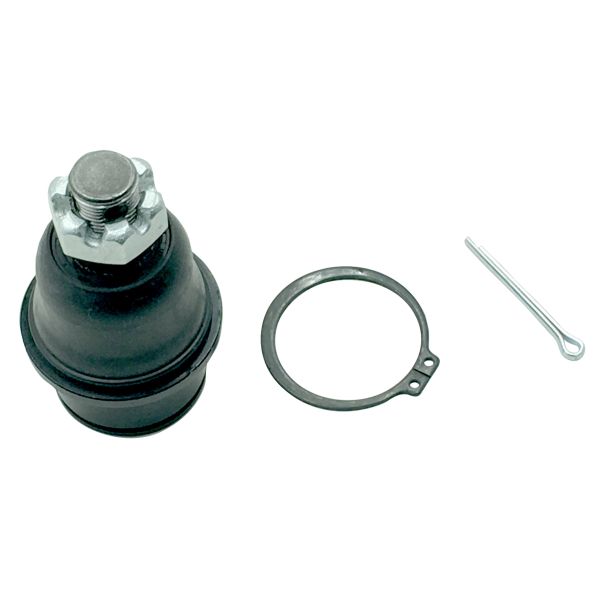 Trag-/Führungsgelenk