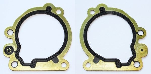 Dichtung, Kraftstoffpumpe