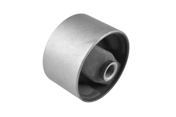 Halter, Motoraufhängung