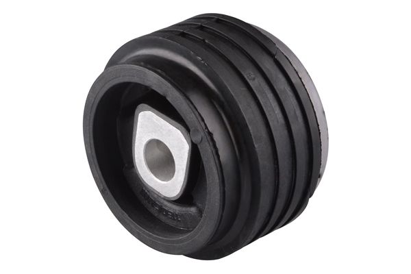 Halter, Motoraufhängung