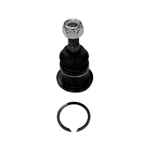 Trag-/Führungsgelenk